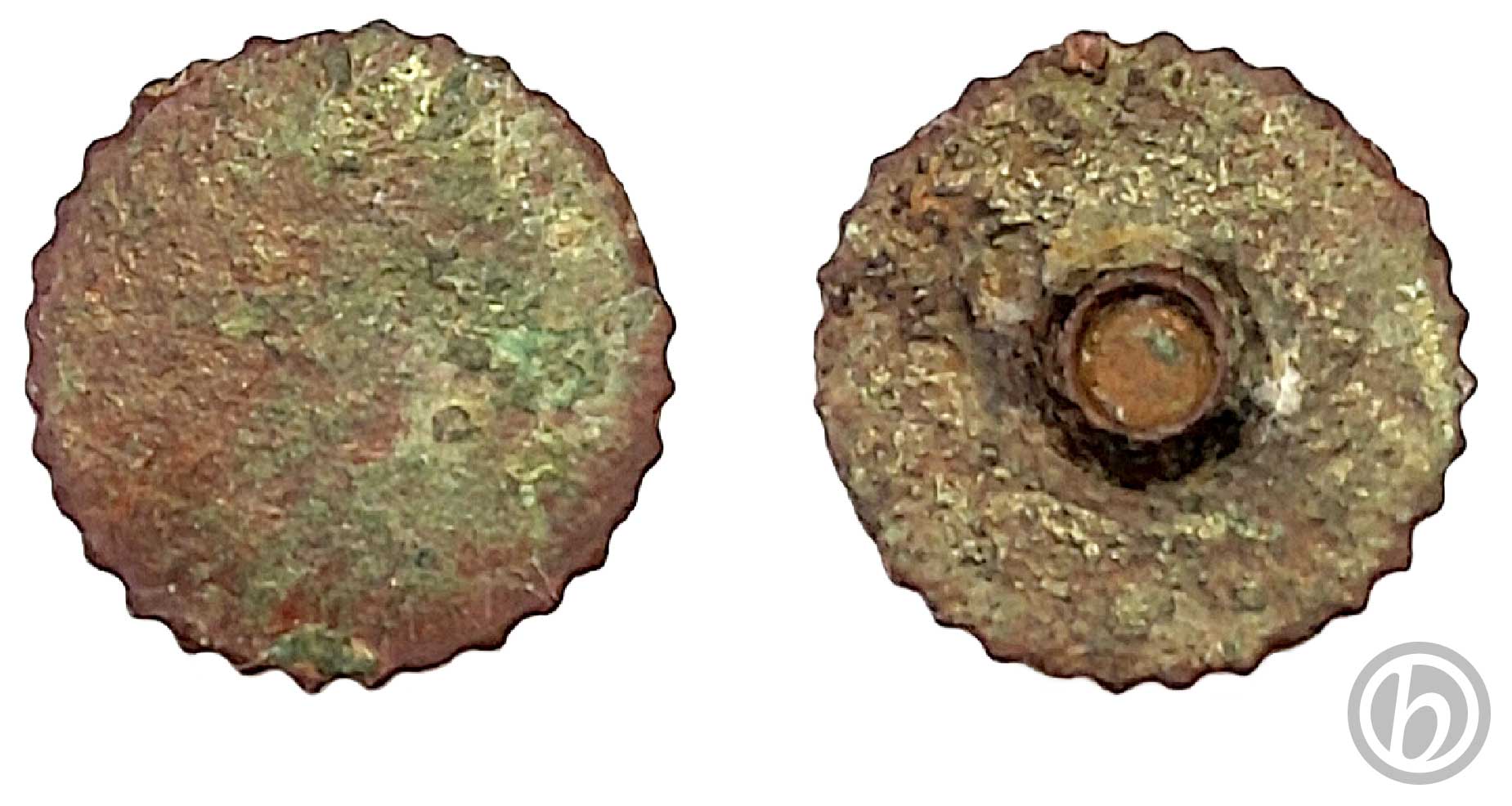 bt.DNT.01.2512 – Bottone dentellato