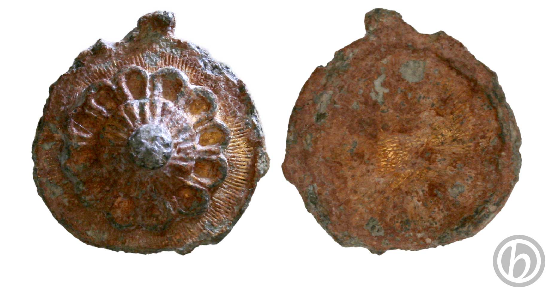 dc.DRT.01.2411 – Decorazione dorata convessa