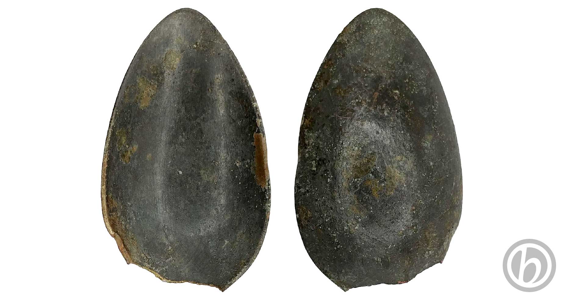 ps.PLTC.04.2509 – Paletta di cucchiaio