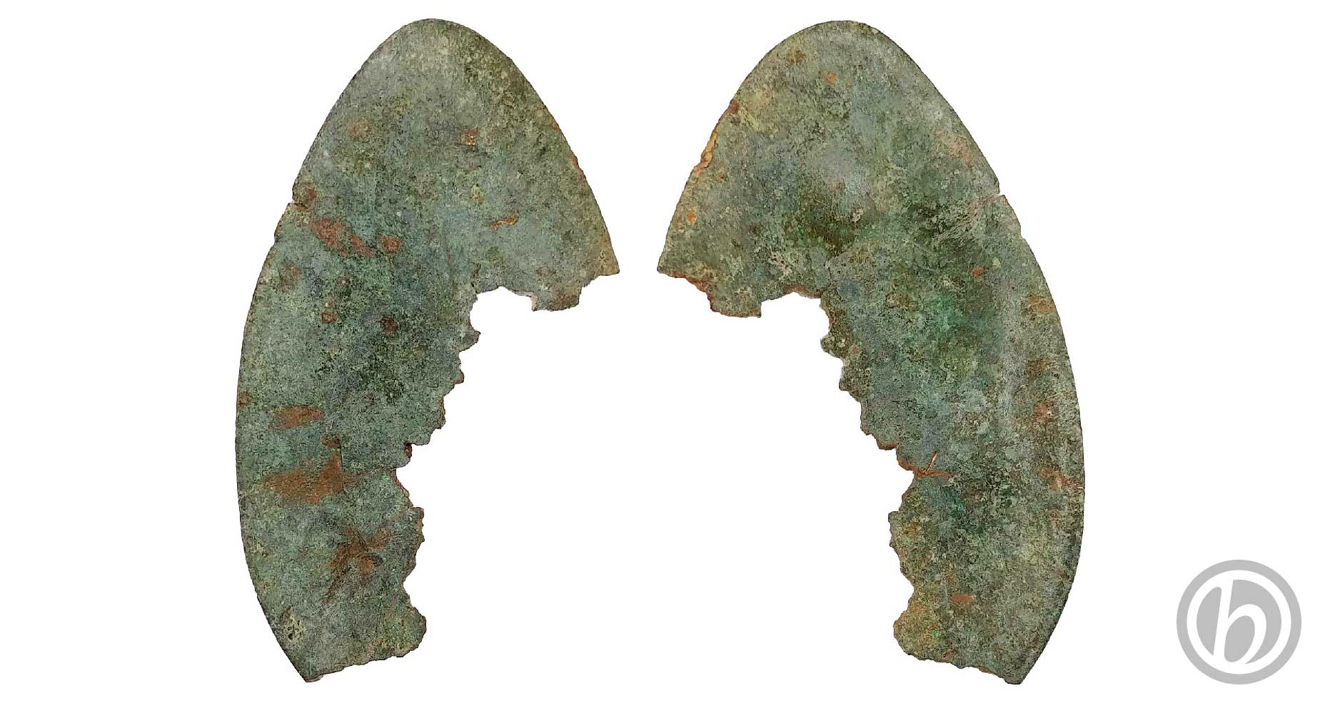 ps.PLTC.06.2509 – Paletta di cucchiaio