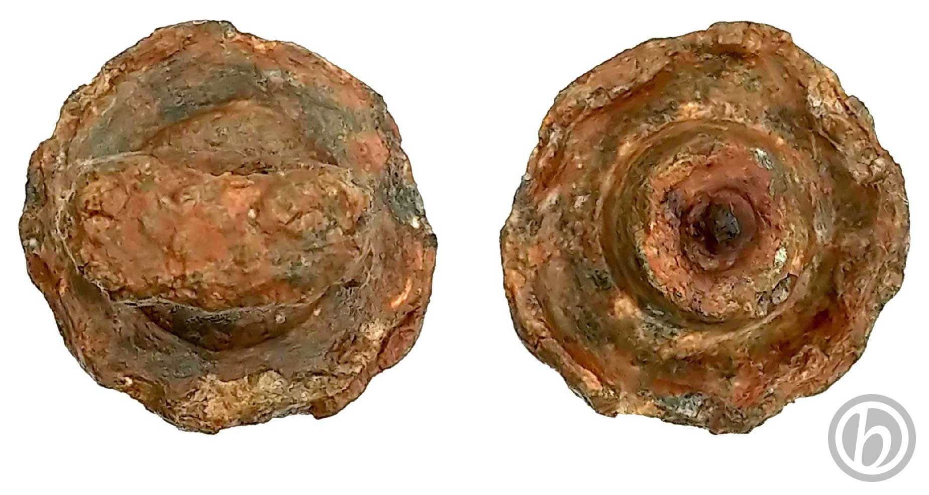 vr.PML.02.2511 – Pomello