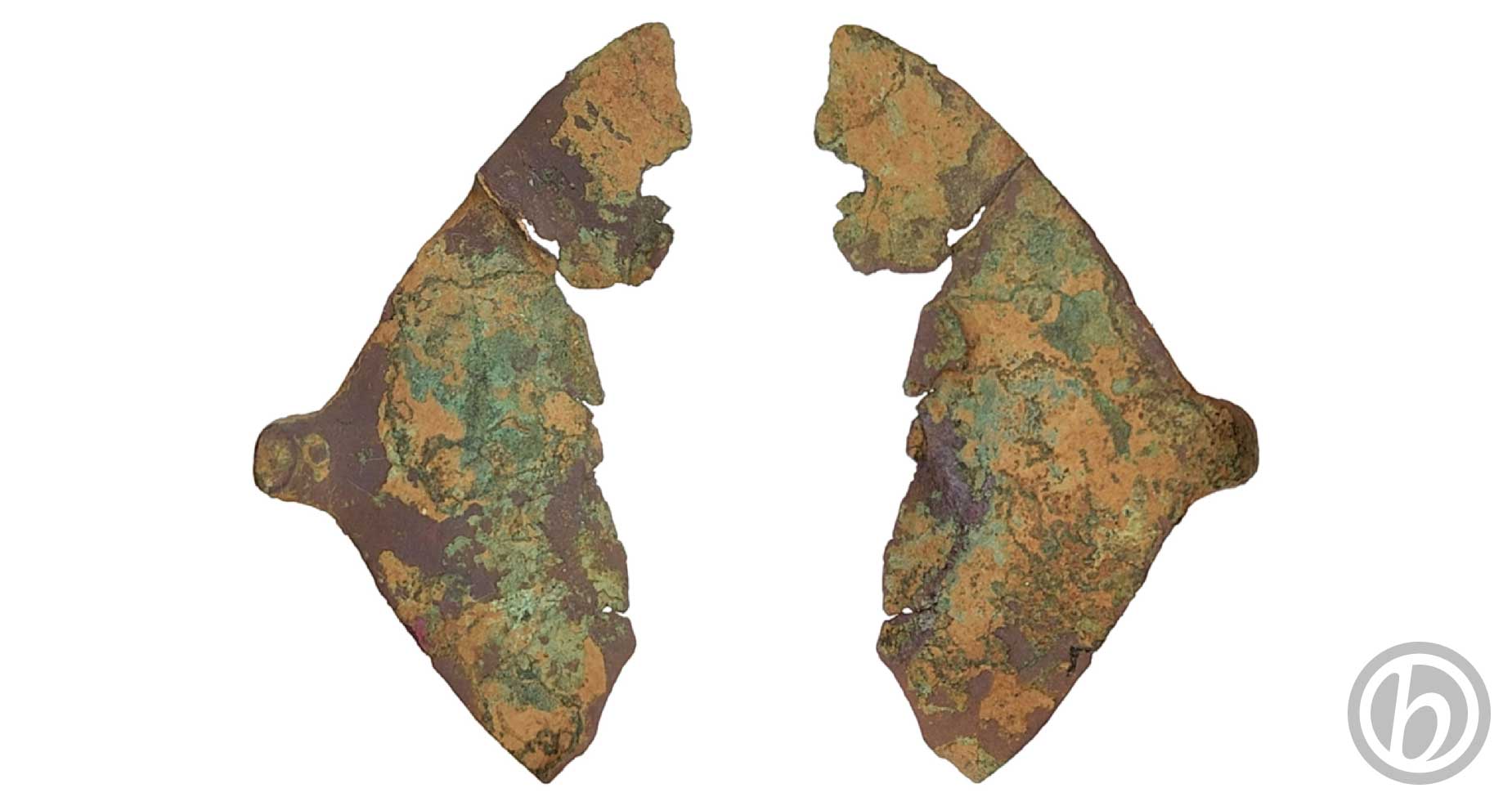 ps.PLTC.13.2602 – Paletta di cucchiaio