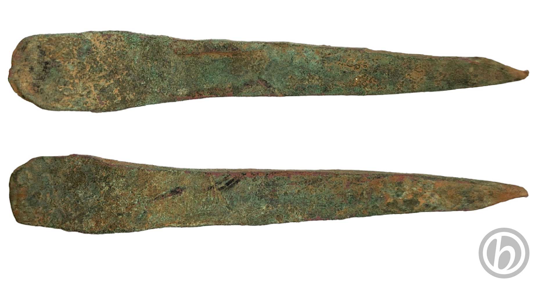 vr.PNT.01.2602 – Punteruolo