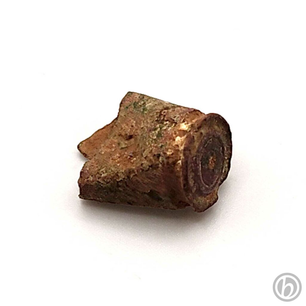 ml.BM91.58.2605-3d